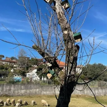 Viana Do Castelo - Village -casa A * Relax Holiday home Amonde