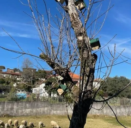 Viana Do Castelo - Village -casa A * Relax Σπίτι διακοπών Amonde